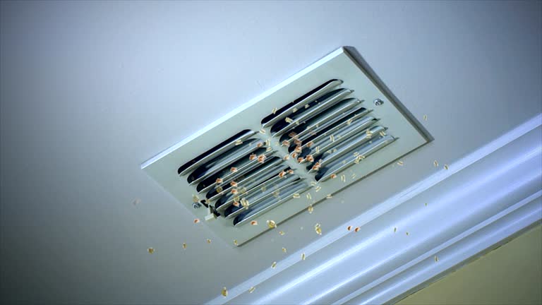 Best Commercial HVAC Duct Cleaning  in Dulce, NM
