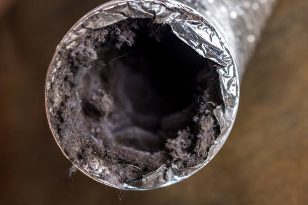 Best HVAC System Cleaning  in Dulce, NM