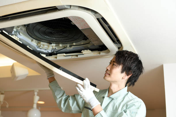 Best Air Vent Cleaning Services  in Dulce, NM