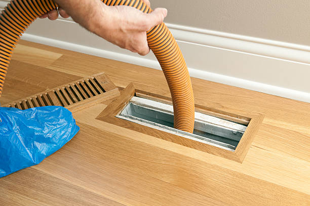 Best Professional Duct Cleaning Services  in Dulce, NM
