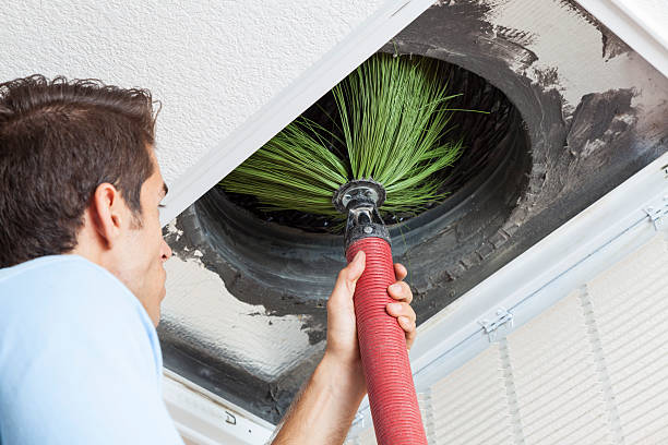 Best Air Duct Cleaning Near Me  in Dulce, NM